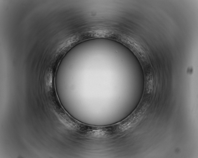 X0000100930310200807011228