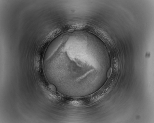 X0000100930312200807011228