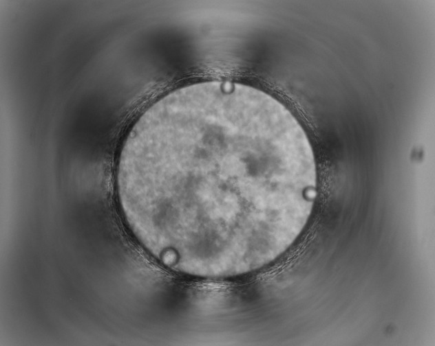 X0000100930313200807011228