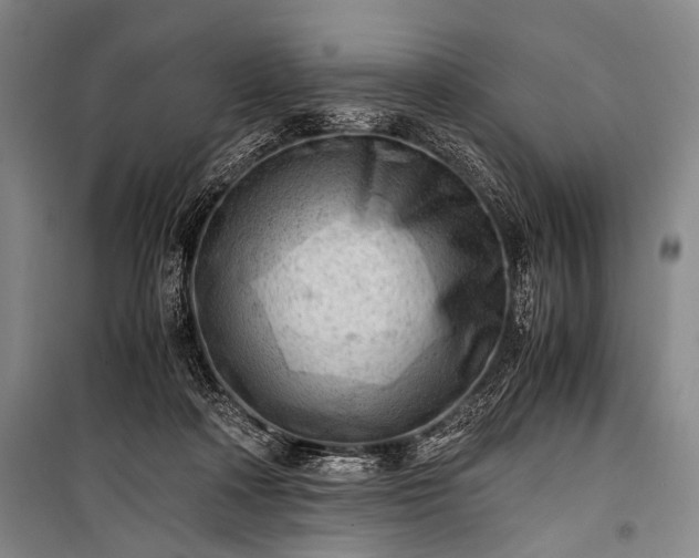 X0000100930314200807011228