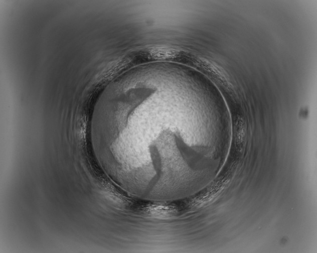 X0000100930315200807011228