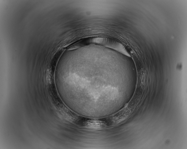 X0000100930316200807011228