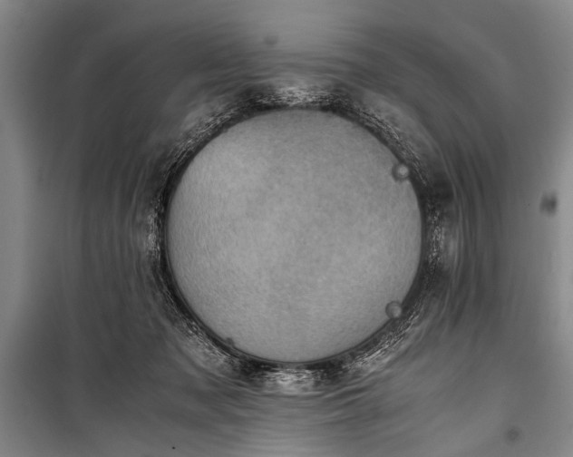 X0000100930317200807011228