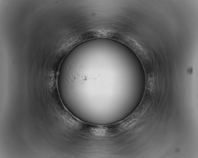 X0000100930318200807011227