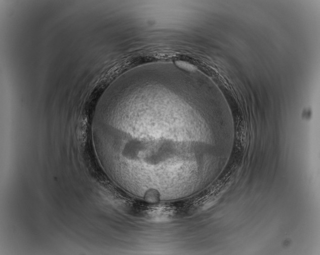 X0000100930319200807011227