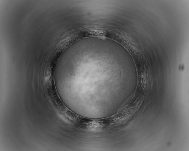 X0000100930320200807011227