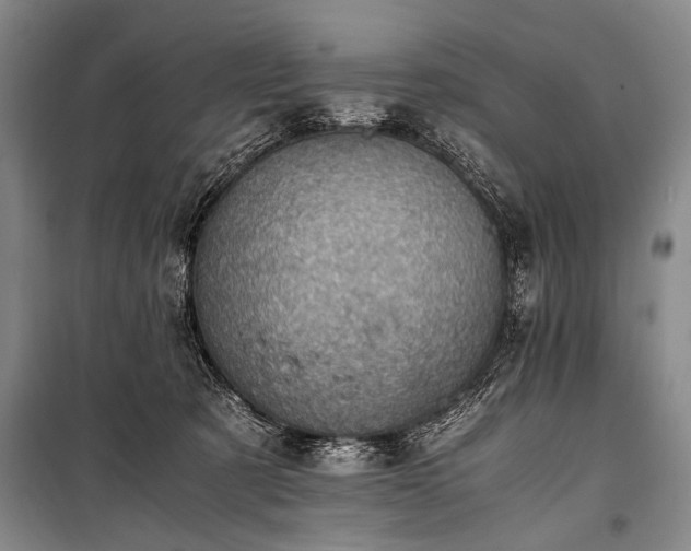 X0000100930321200807011227