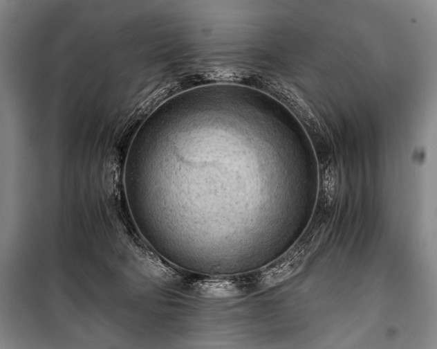 X0000100930322200807011227