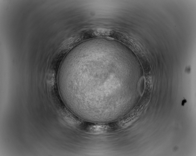 X0000100930323200807011227