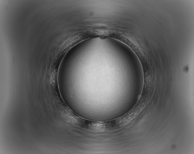 X0000100930325200807011227