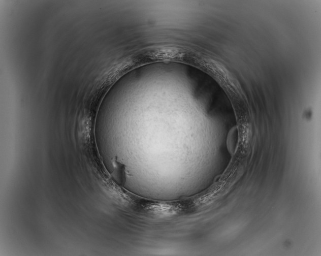 X0000100930326200807011227