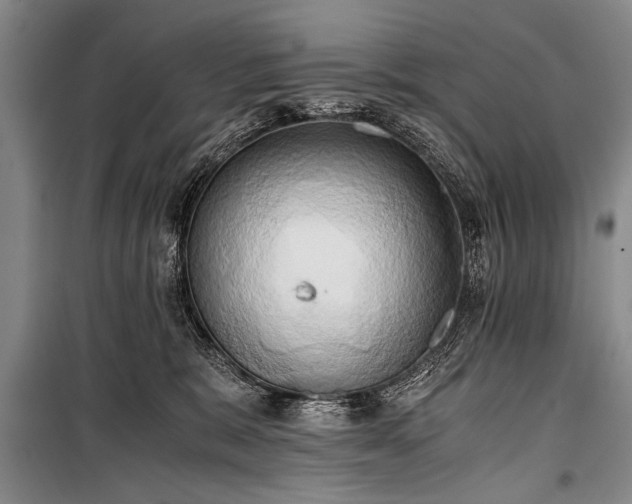 X0000100930327200807011227