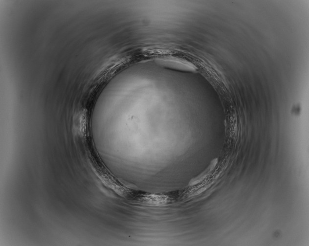 X0000100930328200807011227