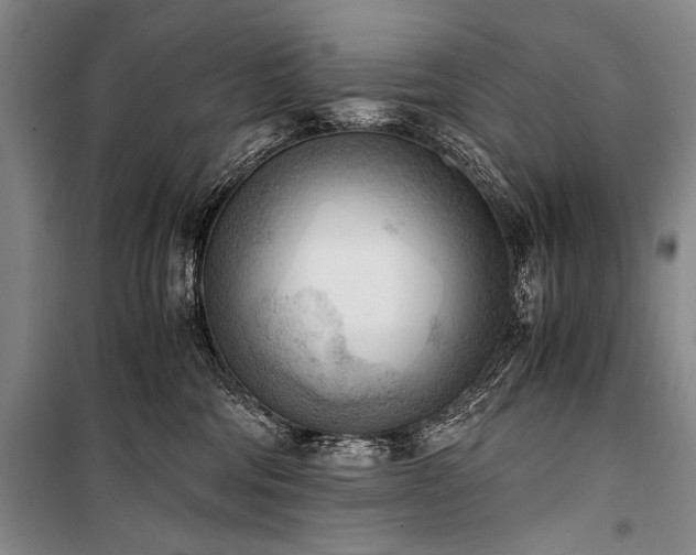 X0000100930330200807011227