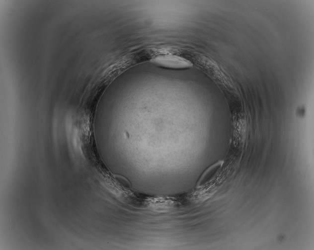 X0000100930331200807011227