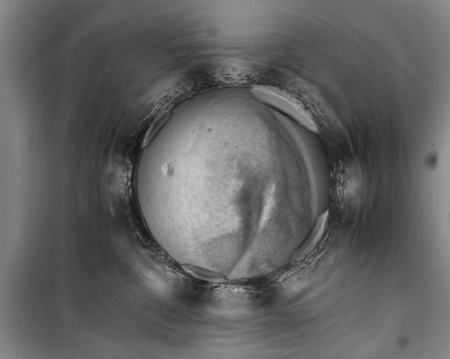 X0000100930332200807011227