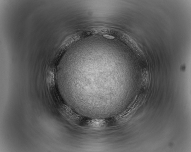 X0000100930333200807011227