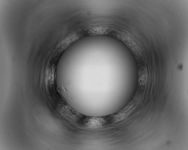 X0000100930334200807011227