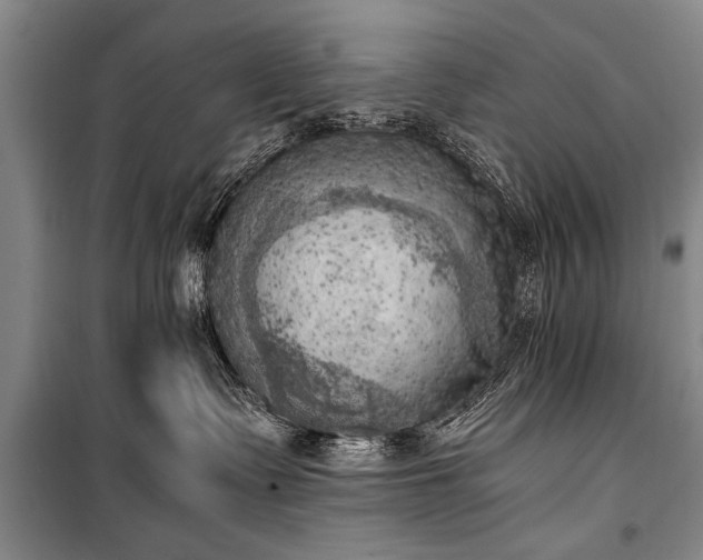 X0000100930335200807011227