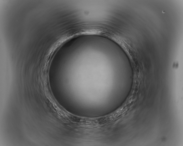 X0000100930337200807011226