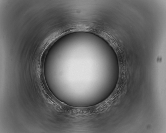 X0000100930338200807011226