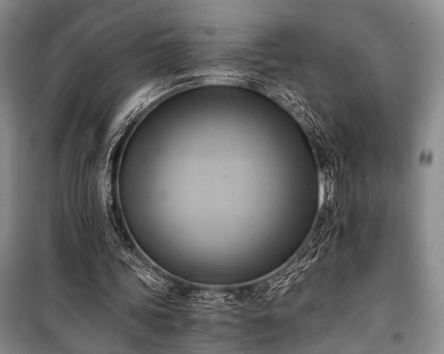 X0000100930339200807011226