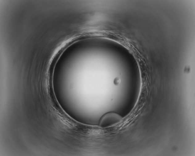 X0000100930342200807011226