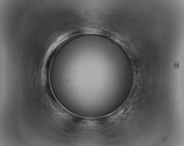 X0000100930343200807011226