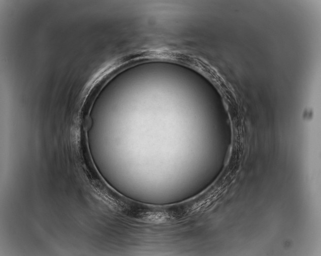 X0000100930344200807011226