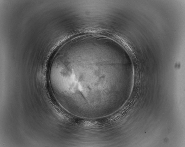 X0000100930346200807011227