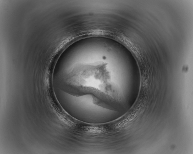 X0000100930347200807011227