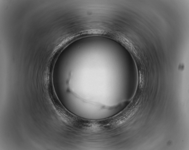 X0000100930348200807011227