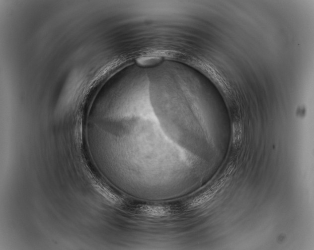 X0000100930349200807011227