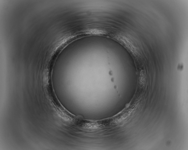 X0000100930351200807011227