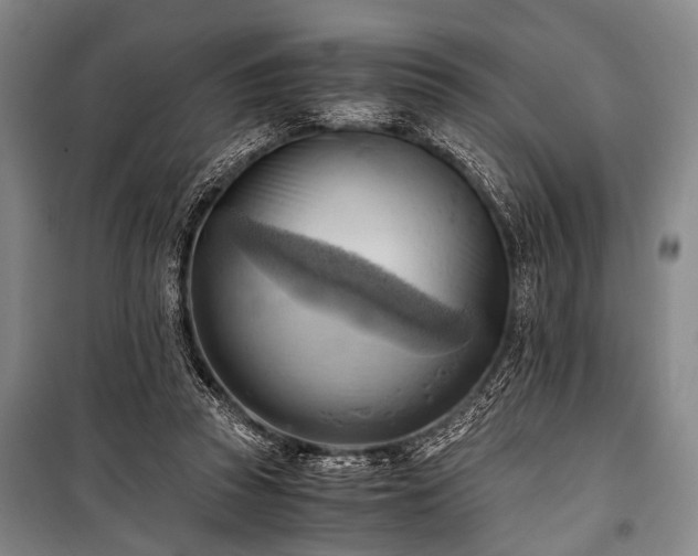 X0000100930353200807011227