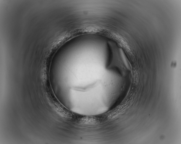 X0000100930354200807011227