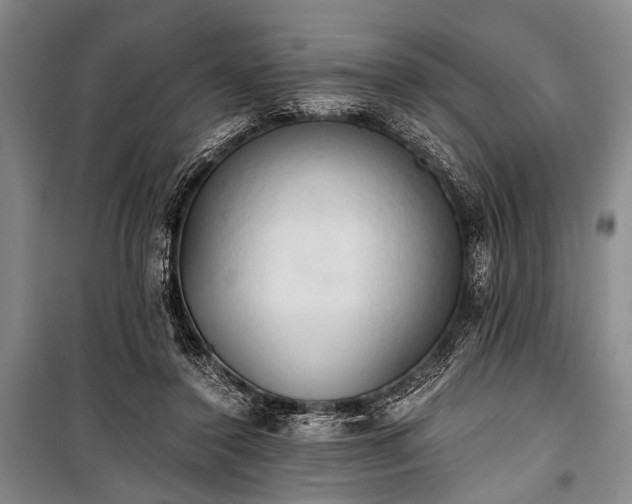 X0000100930356200807011227