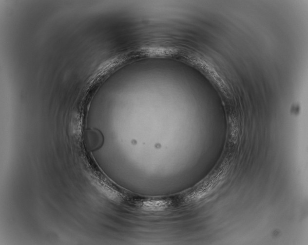 X0000100930357200807011227