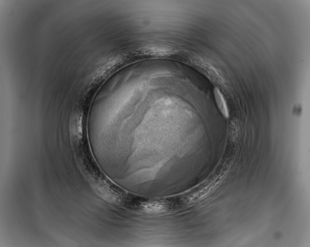 X0000100930358200807011227