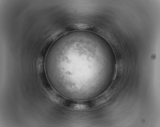 X0000100930360200807011227