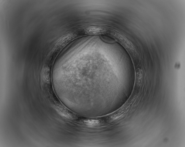 X0000100930361200807011227