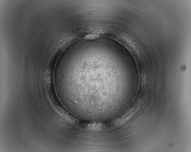 X0000100930362200807011227