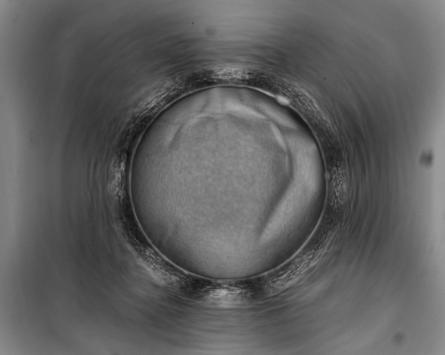 X0000100930364200807011227