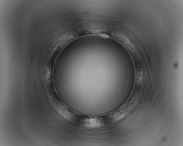 X0000100930365200807011227