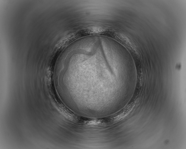 X0000100930366200807011227