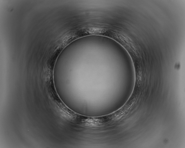 X0000100930367200807011227