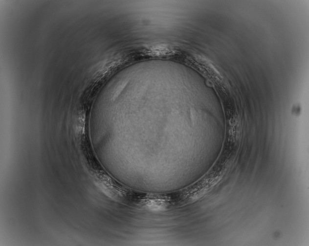 X0000100930368200807011227