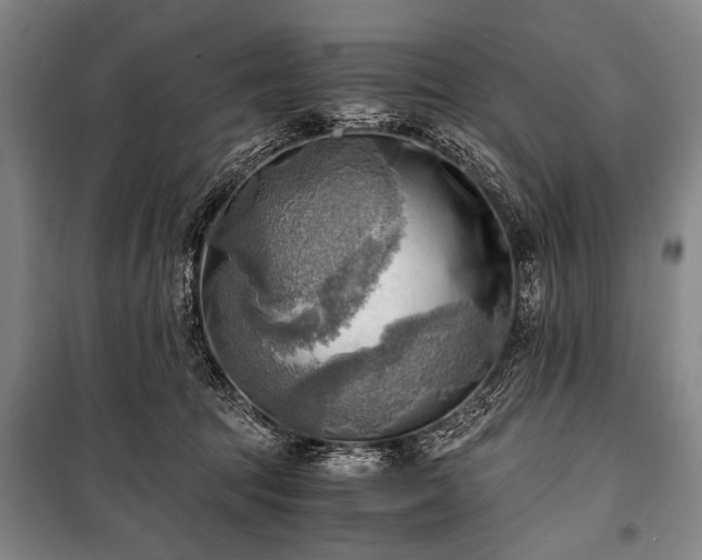 X0000100930369200807011227