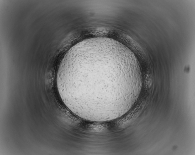 X0000100930370200807011227