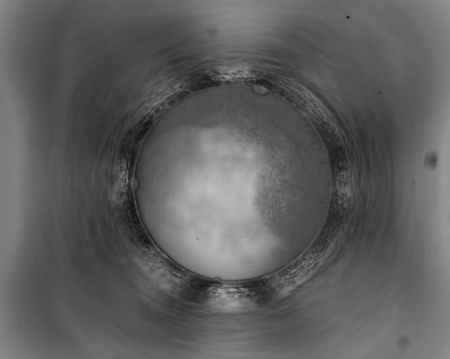 X0000100930372200807011227